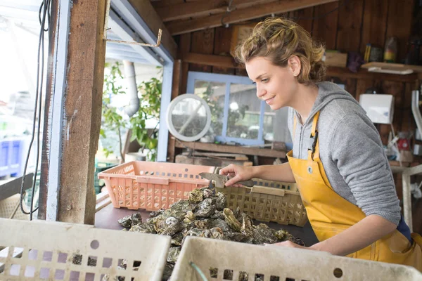 Werknemer in de oester boerderij variërend van kooien — Stockfoto