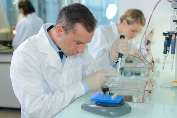 Labortechniker füllt Probenröhrchen — Stockfoto
