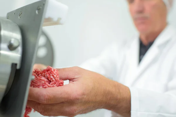 Picking the meat from the grinder — Stock Photo, Image