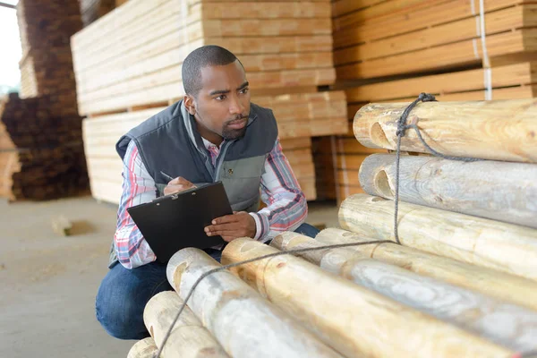 Man houten logboeken controleren — Stockfoto