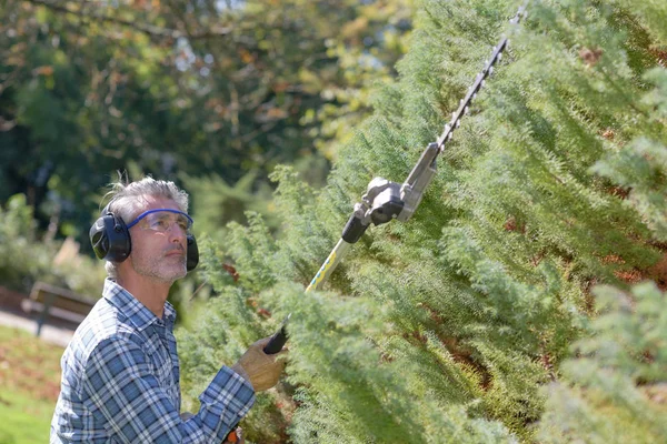 Homem usando hedgecutter extensível — Fotografia de Stock