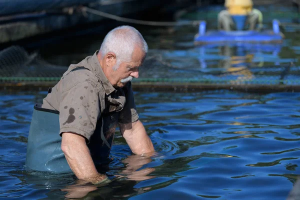 Людина на рибній фермі форелі — стокове фото