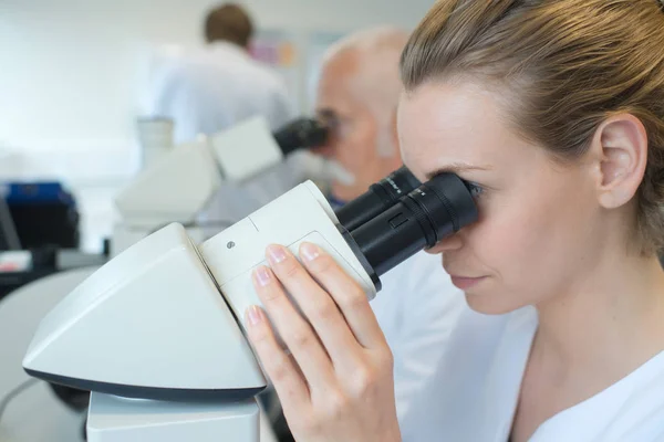 Técnicos de laboratório fazendo pesquisa — Fotografia de Stock