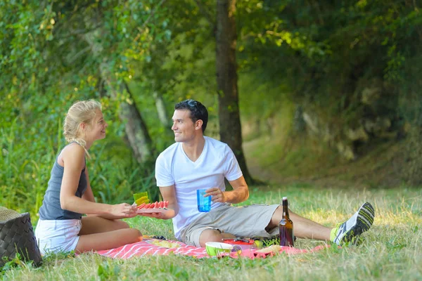 Pareja feliz enamorada en un picnic —  Fotos de Stock