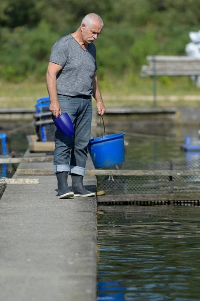 Vis boer controleren zijn zwembaden — Stockfoto