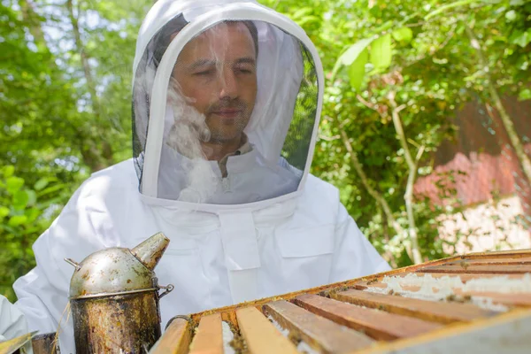 Méhész dohányos és a méhész — Stock Fotó