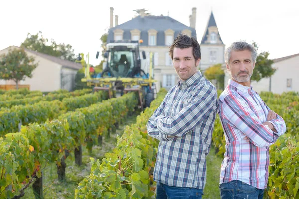 Retrato de dos hombres por vides de uva, castillo en el fondo — Foto de Stock