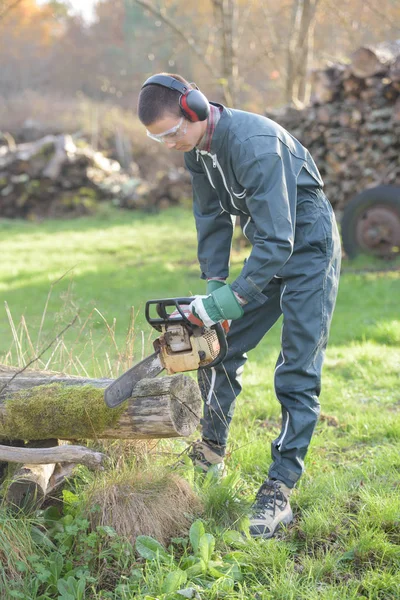 Couper un bois et un jardin — Photo