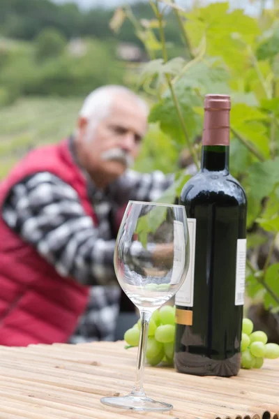 Fles wijn glas en rode druif op wineyard — Stockfoto