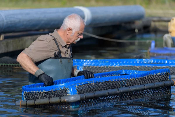 Fishfarm에서 일 하는 어 부 — 스톡 사진