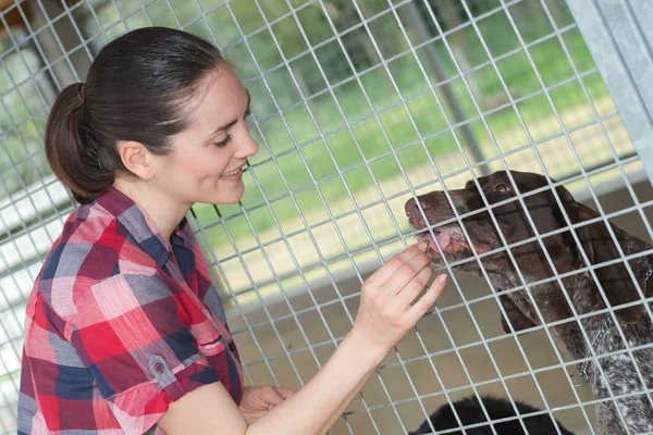 Cheerful woman gives dog sweets through the fence — Stock Photo, Image