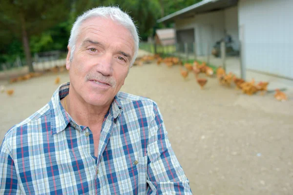 Man in het kippenhok — Stockfoto