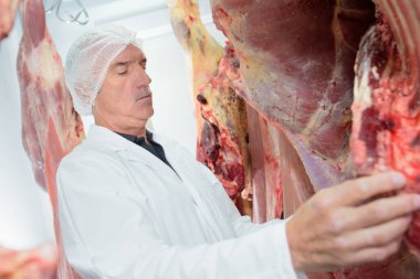 meat packer inspecting a meat clipart
