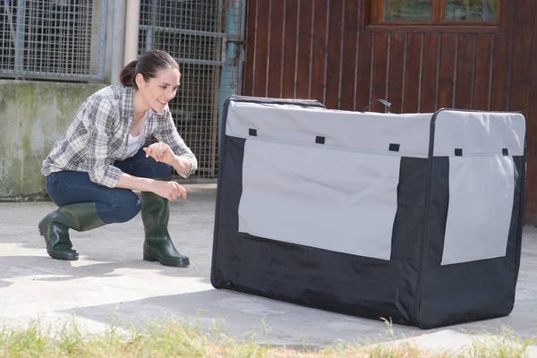 Ganska Kennel Vetenary Kontroll Låda För Djurtransporter — Stockfoto