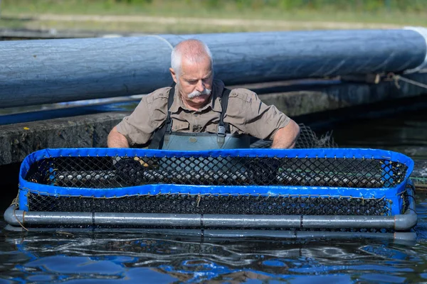 Hombre Estaba Una Zona Confinada Para Piscicultura — Foto de Stock