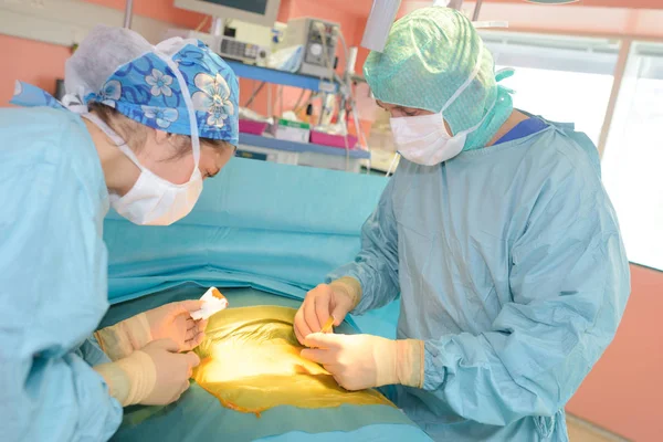 Chirurgo Squadra Lavoro Durante Operazione — Foto Stock