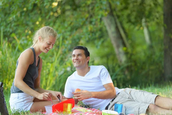 Couple Having Picnic — Stock Photo, Image