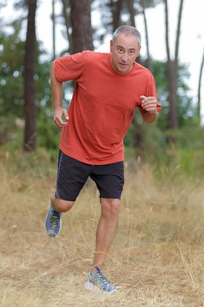 Middle Aged Man Jogging Park — Stock Photo, Image