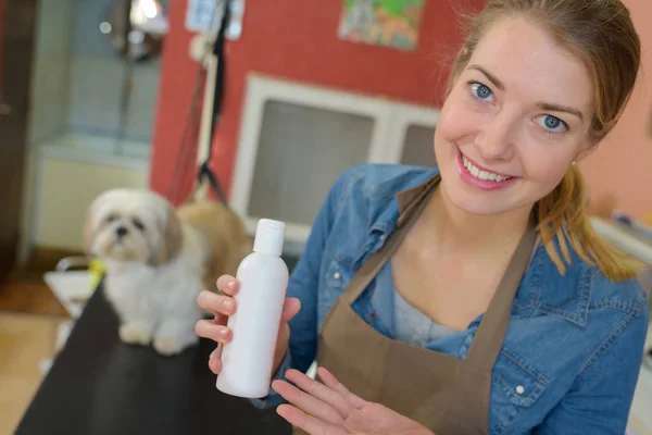 Schattig Hondje Bij Groomer Salon — Stockfoto