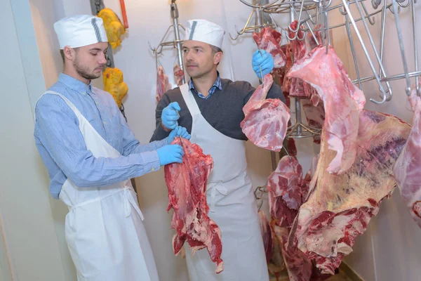 Lekcja Części Mięsa — Zdjęcie stockowe
