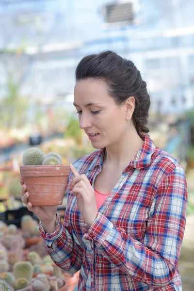 Gelukkig Vrouwelijke Kwekerij Eigenaar Met Pot Van Bloemen Binnen Broeikasgassen — Stockfoto