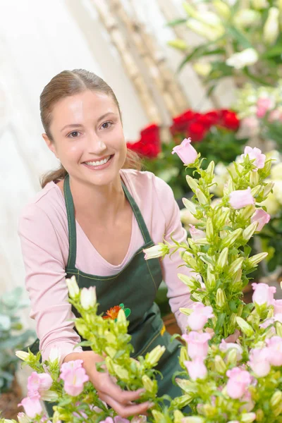 Florista Sorrindo Flores Classificação — Fotografia de Stock