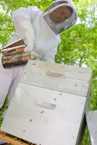 Imker Mit Raucher Nach Oben — Stockfoto