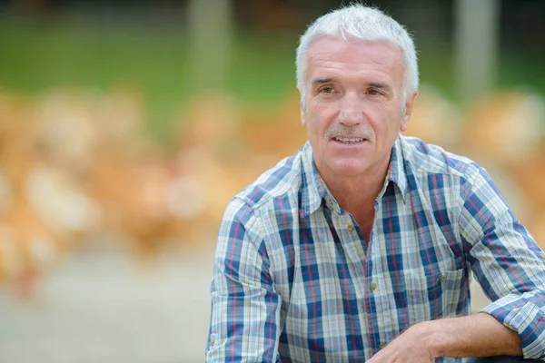 Porträt Des Menschen Unkonzentrierte Hühner Hintergrund — Stockfoto