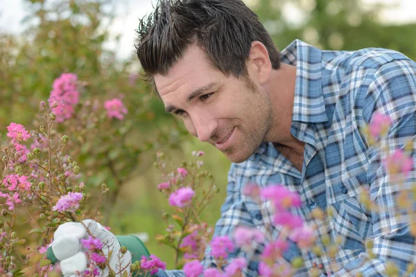 Natuur Wetenschapper Observeren Een Wilde Bloem — Stockfoto