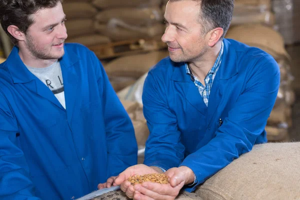 Operaio Che Lavora Alla Fabbrica Chicchi Caffè — Foto Stock