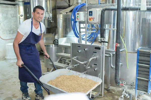 Trabajador Que Lleva Paquete Semillas Girasol — Foto de Stock