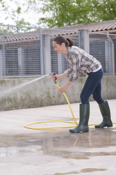 Schoonmaak Tijd Voor Kennel Assistant — Stockfoto