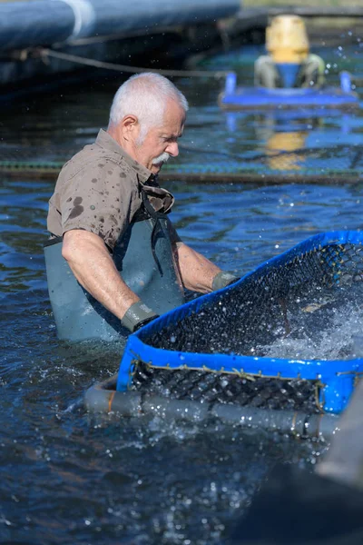 Pescador Senior Dentro Del Agua — Foto de Stock