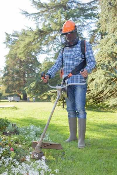 Trabajador Que Monitorea Hierba — Foto de Stock