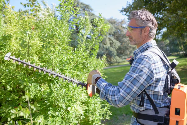 Trimning Bush Och Arbete — Stockfoto