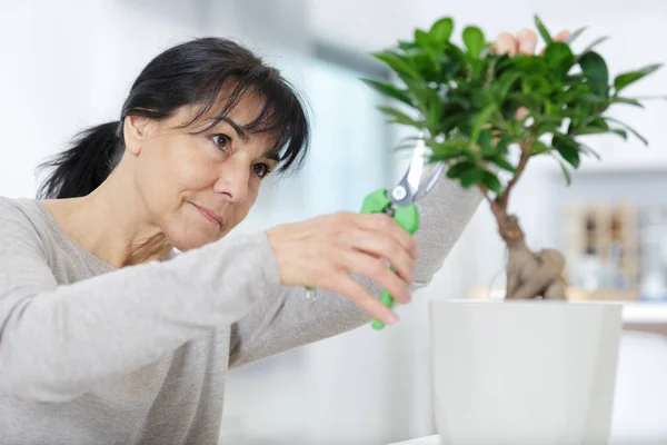 Mulher sênior cortando árvore bonsai — Fotografia de Stock