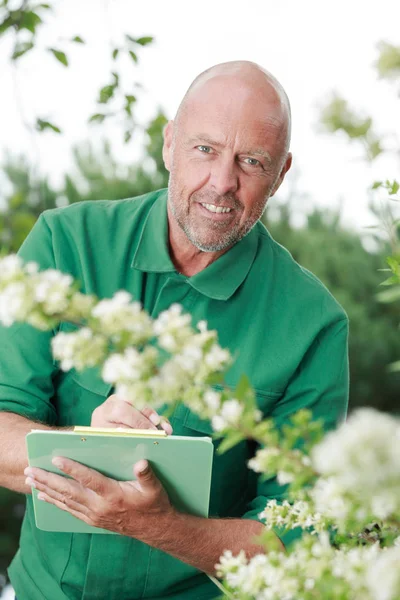 Mature gardener with clipboard working at greenhouse — Stock Photo, Image