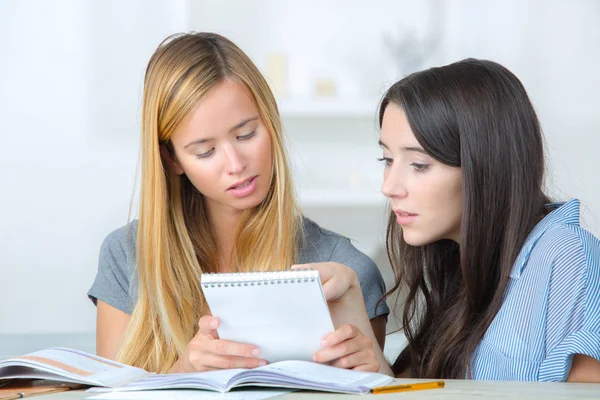 Two female teenagers doing their assignments — Stock Photo, Image