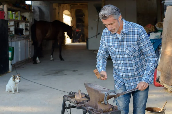 Farrier using hammer and farrier — Stock Photo, Image