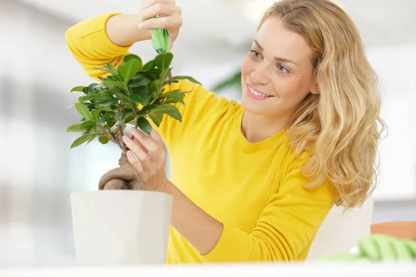 Signora nel maglione giallo annaffiamento pianta d'appartamento — Foto Stock