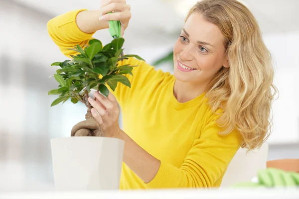 Dame in de gele jumper drenken kamerplant — Stockfoto