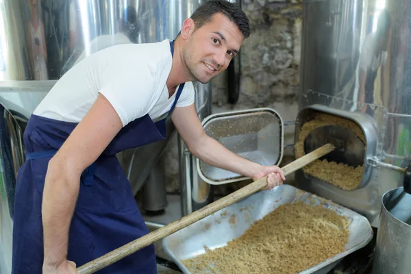 Trabajador que retira la malta seca del recipiente inoxidable —  Fotos de Stock