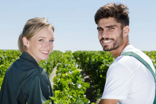 Hombre y mujer trabajando en viñedos — Foto de Stock