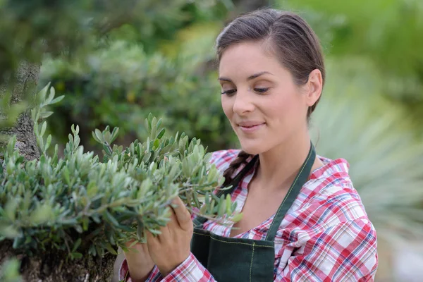 Vrouw die jonge planten plant in tuin grond — Stockfoto