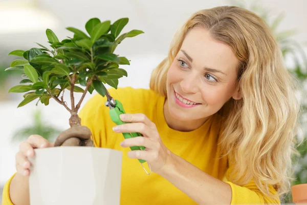Jonge enthousiaste vrouwelijke tuinman die voor Bonsai planten zorgt — Stockfoto