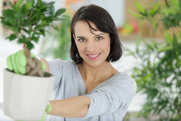 Jeune femme s'occupant des plantes à la maison — Photo