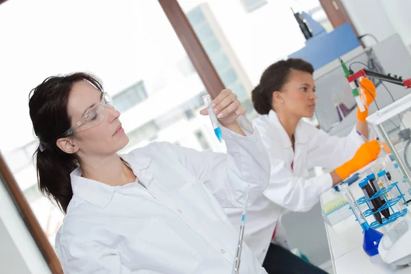 Técnicas de laboratorio femeninas en el trabajo — Foto de Stock