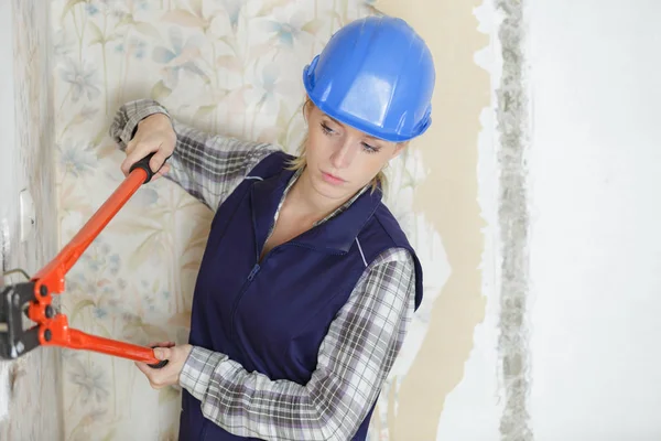 Mujer trabajadora con tijera segadora —  Fotos de Stock