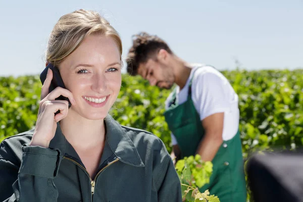 ブドウ畑で携帯電話で話す女性のバインターは — ストック写真