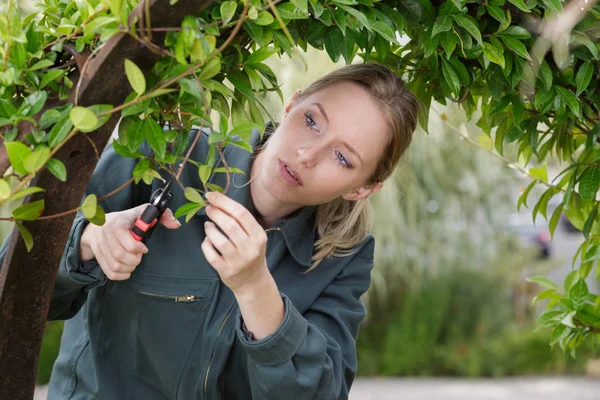 Niña jardinero trabajando en el jardín de primavera y el árbol de recorte — Foto de Stock